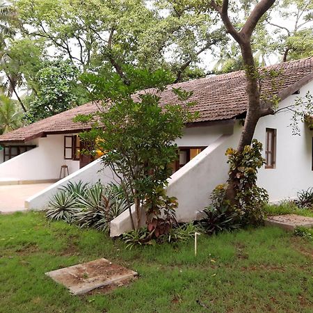 Banyan House - Luxurious 4 Bedroom Villa On One Acre, Near The Beach ناجاون المظهر الخارجي الصورة